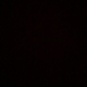 Meet your Posher, Devin